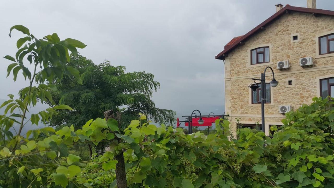 Hayat Oksijen Resort オルドゥ エクステリア 写真